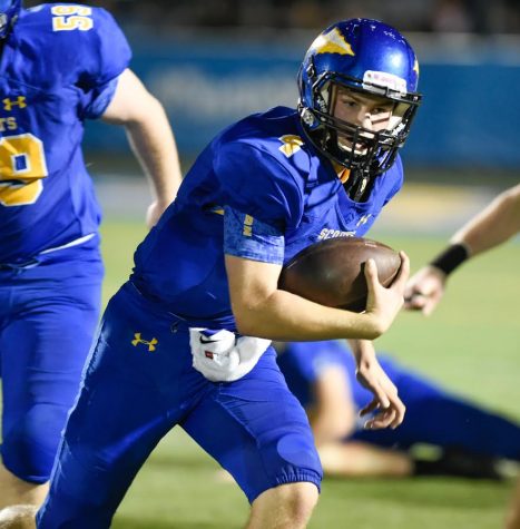 Game Preview: Lake Forest (3-2) @ Lake Zurich (4-1)