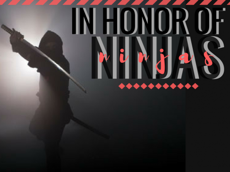 In Honor of Ninjas
