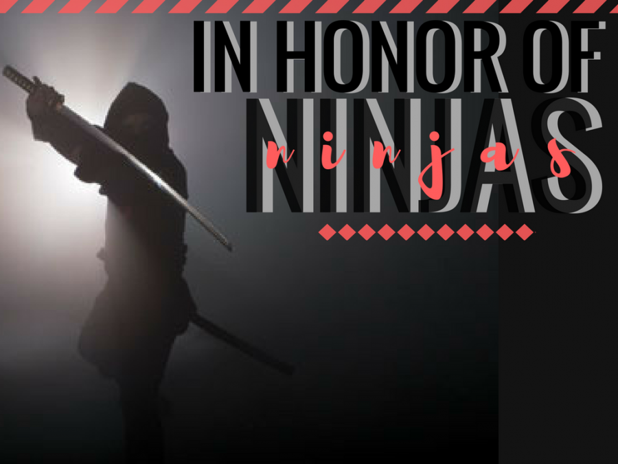 In+Honor+of+Ninjas