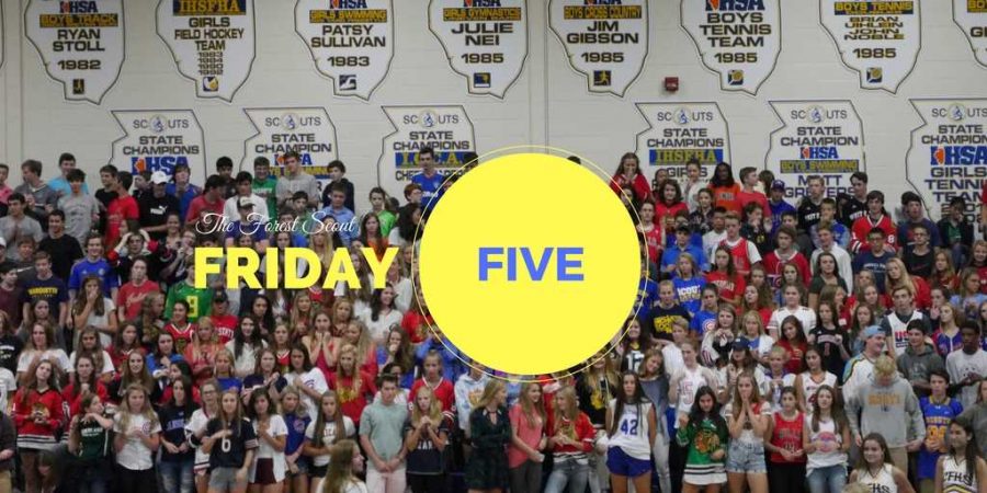 The+Forest+Scout+Friday+Five+3