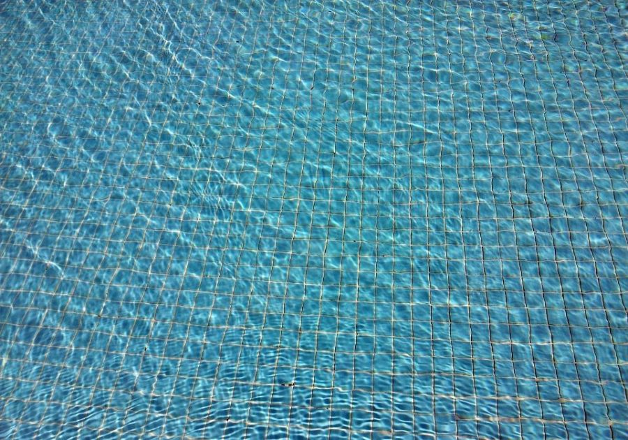 A+blue+and+swimming+in+the+water