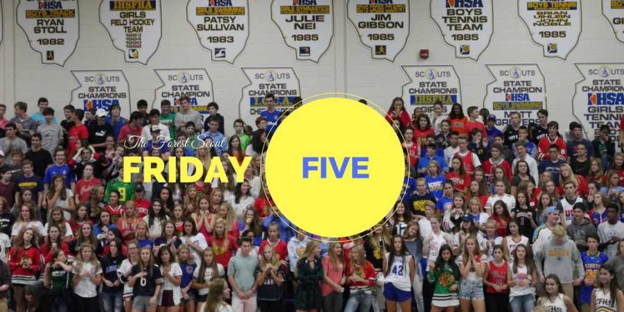 The+Forest+Scout+Friday+Five+46