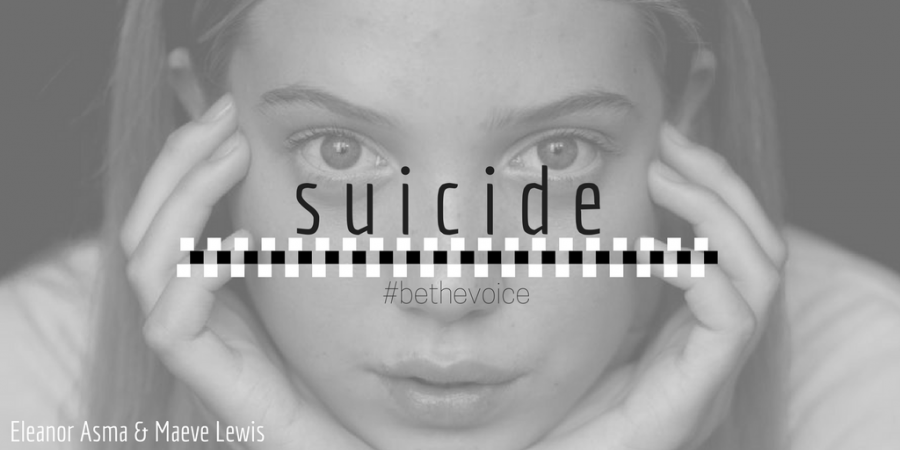 Out of the Darkness: Suicide Prevention 2