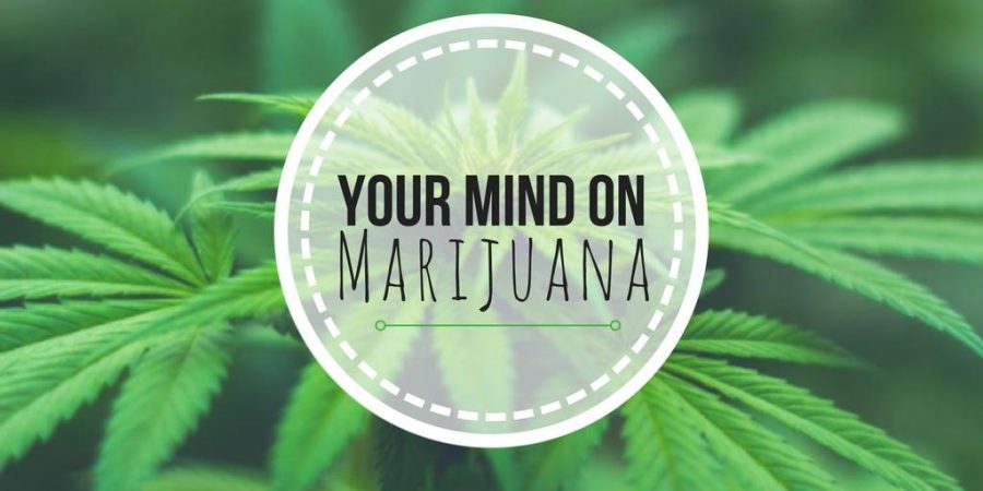 For the Health of It: Your Mind on Marijuana