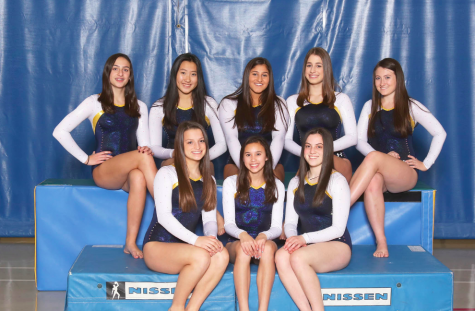 Scouts gymnasts prepare for NSC meet