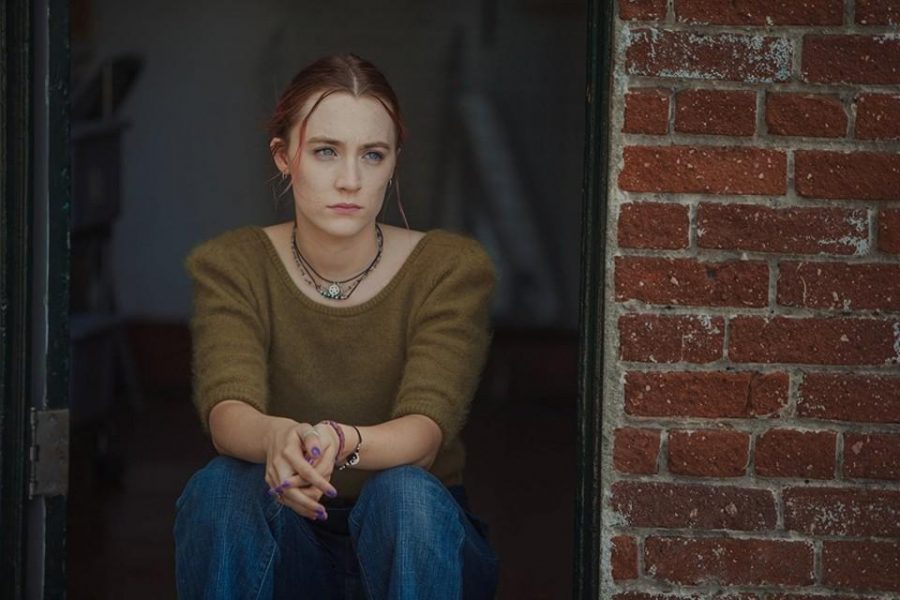 A Short Word about Lady Bird