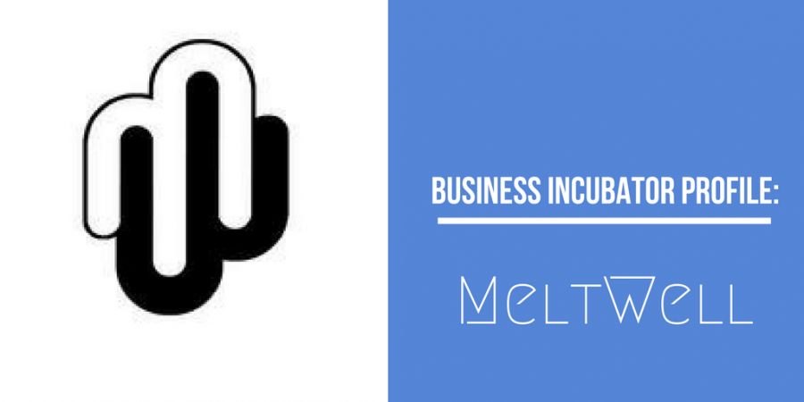 Business Incubator Profile: Meltwell