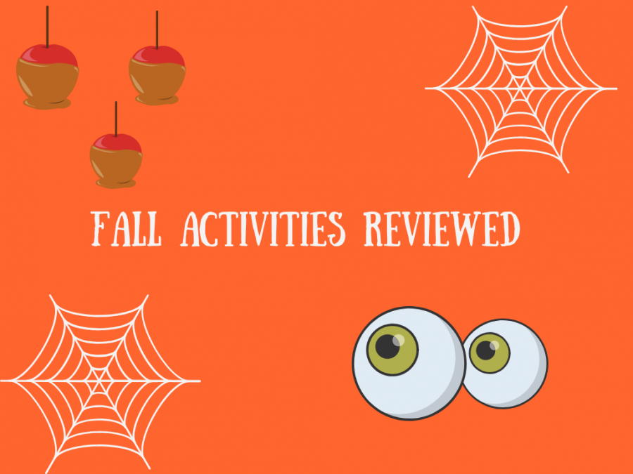 Fall Activities Ranked