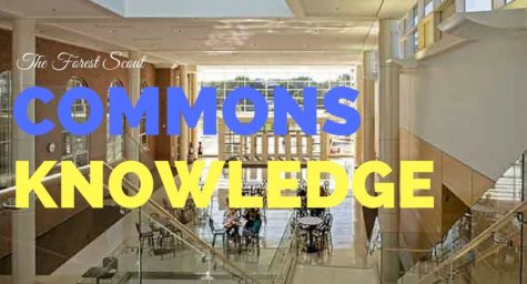 Commons Knowledge Goes to Prom and the Cubs Game + Announcement