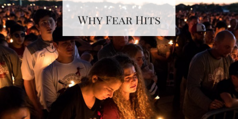 Why Fear Hits