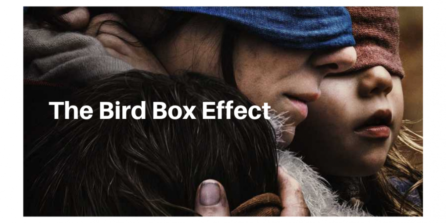 The Bird Box Effect