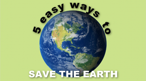 5 easy ways you can help the environment