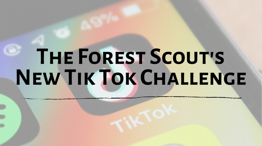 The+Forest+Scout+Tik+Tok+Challenge