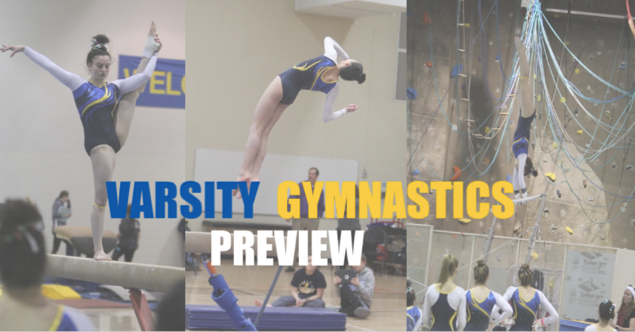 Lake Forest Varsity Girls Gymnastics Preview