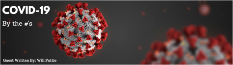 The Coronavirus - Modeling the Spread