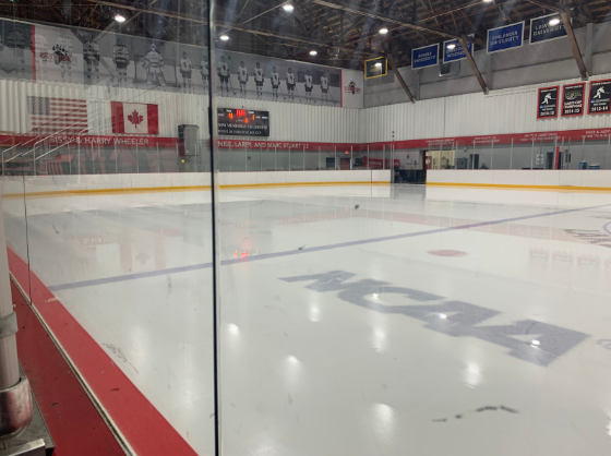 A now-infamous incident at the south end of the Lake Forest College Ice Rink after the Scouts’ league playoff game against Evanston on Feb 15 has perhaps had a larger impact on the LFHS community than expected.