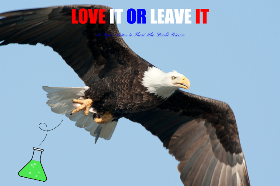 Love+It+or+Leave+It