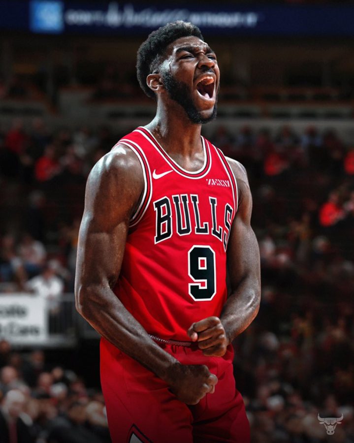 Chicago Bulls Draft Review
