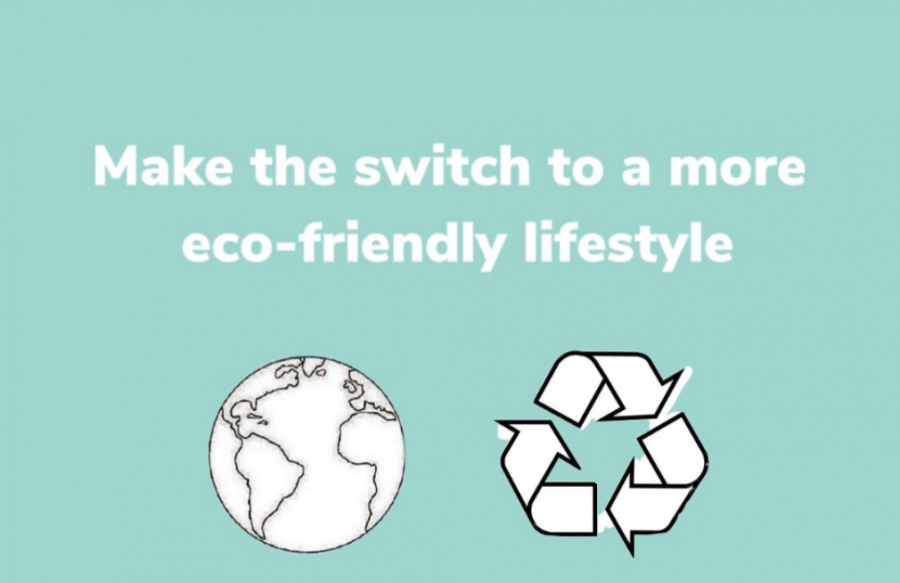 Make the Switch: How to Adopt Eco-Friendly Habits
