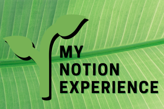 An Organizational Experience with Notion