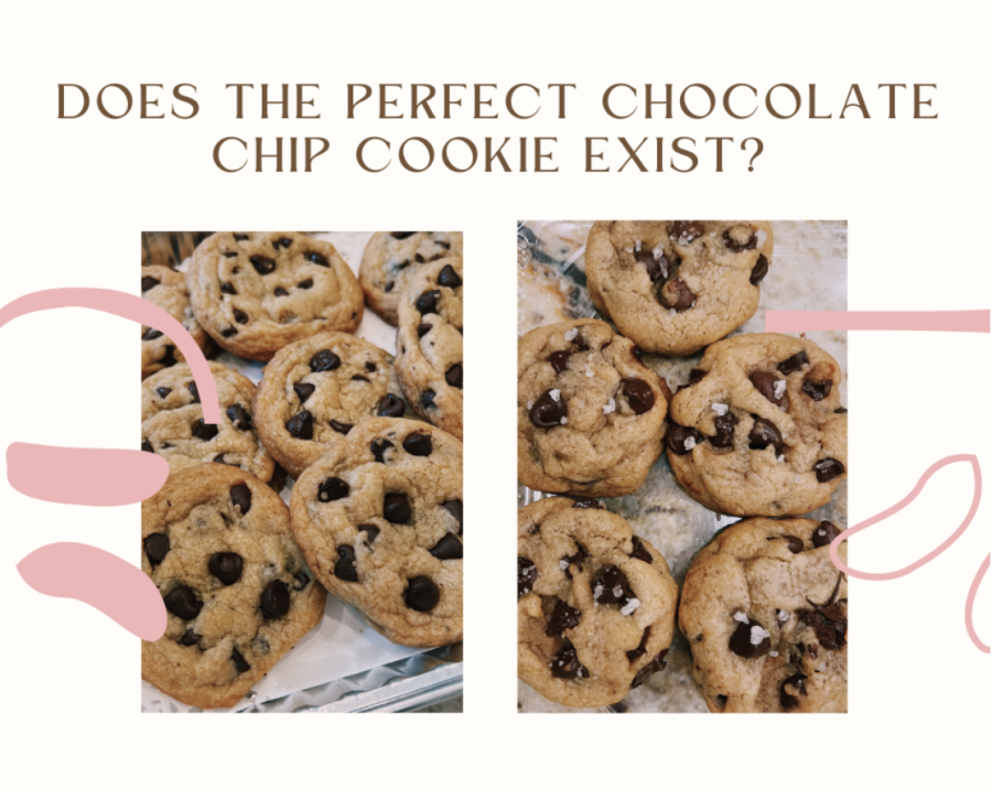 Does the Perfect Chocolate Chip Cookie Exist?