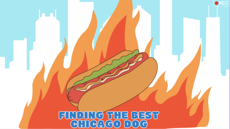 Finding the Best: Chicago Hot Dog