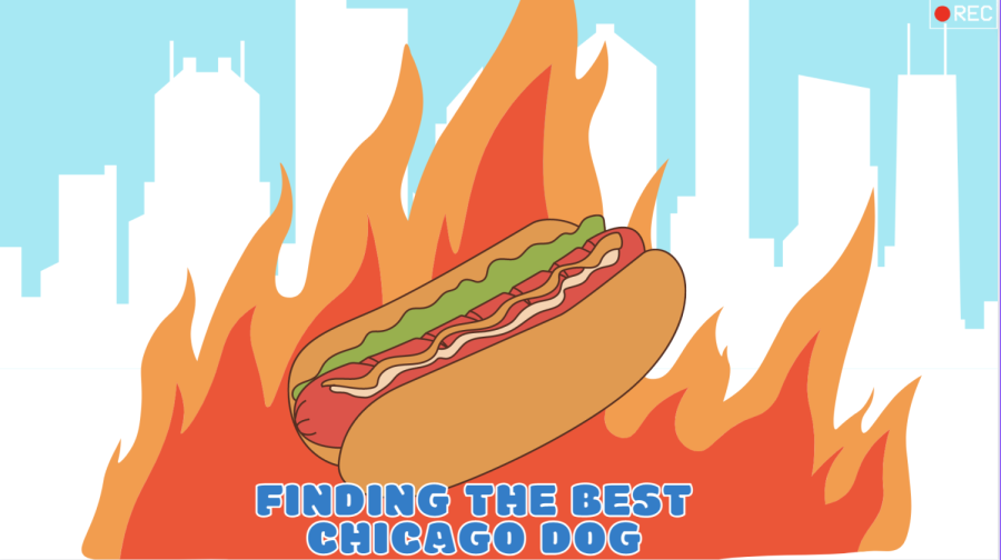Finding+the+Best%3A+Chicago+Hot+Dog