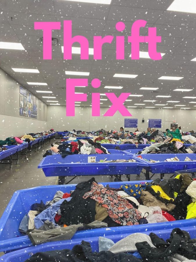 Thrift Fix: Tips and Tricks