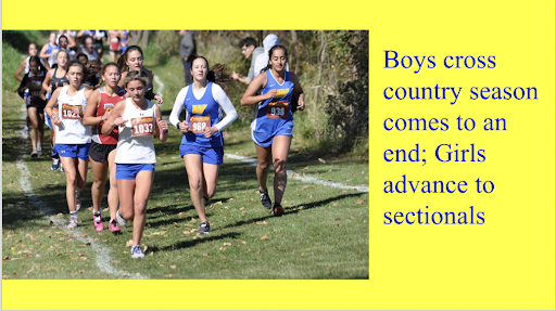 Cross Country Regionals report