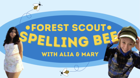 A Forest Scout Spelling Bee