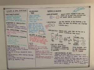 By writing the processes of DNA modification and gene expression on my whiteboard, I was able to retain and understand the information especially well. (Photo courtesy of Emma Stadolnik)