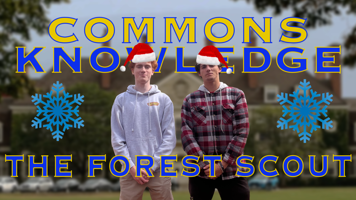 Commons Knowledge: Holiday Edition