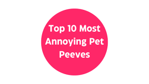 My Top 10 Most Annoying Pet Peeves