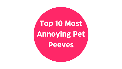 My Top 10 Most Annoying Pet Peeves