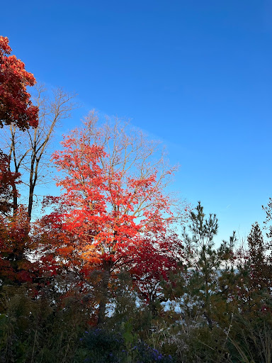 How to: Romanticize Autumn