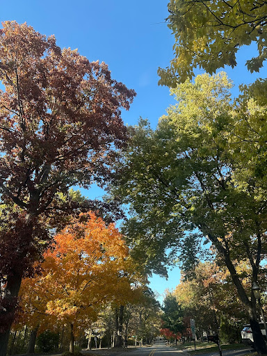 Top Five Iconic Fall Activities