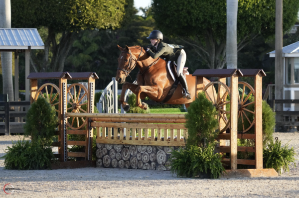 Photo Courtesy of Iris Perlioni
