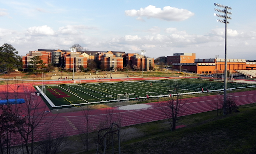 Just Do It: Intramural & Club Sports in College