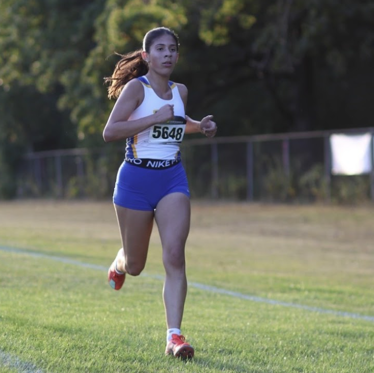 Rosales running.