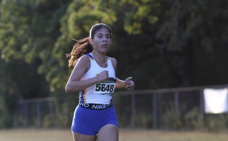 State Bound: The Quiet Work Behind Pilar Rosales’ Breakthrough Season