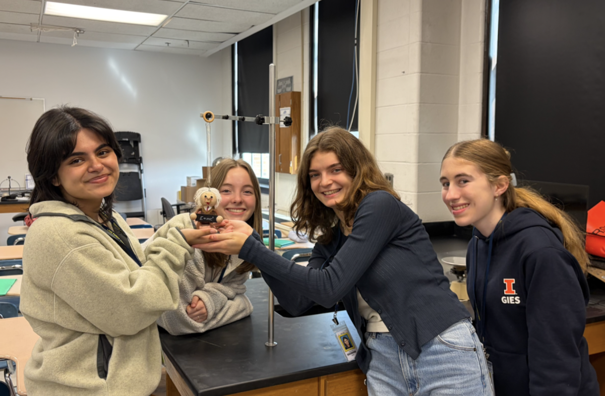 Early bird lab partners create a lab with Einstein on a spring to learn about harmonic motion.